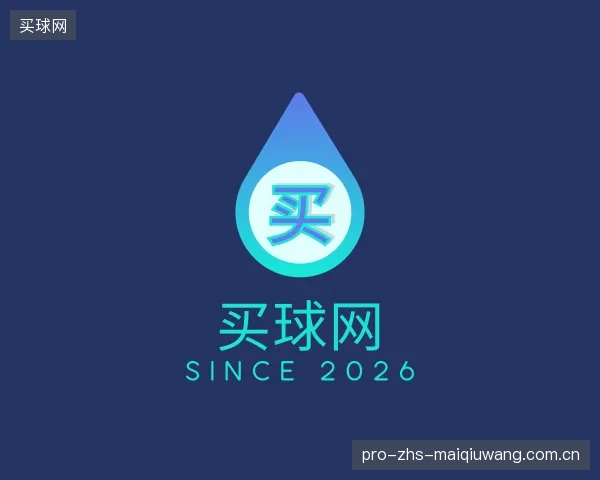 解读买球网公司